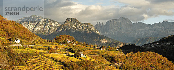 Blick über herbstlich gefärbte Weingärten zum Tschafon (links Mitte) und Rosengarten (rechts)  Rittener Berg  Südtirol  Italien