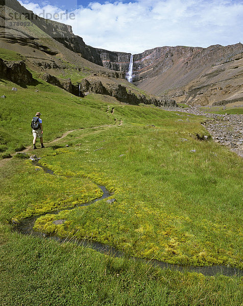 Wanderer durch grüne Wiese auf dem Weg zum Hengifoss  Island