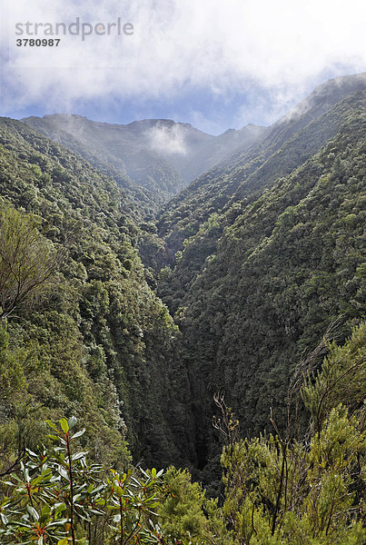 Ausblick auf eine Schlucht  Caldeirao Verde  Madeira  Portugal