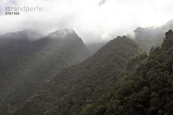 Blick von der Levada auf die bewaldeten Berge und die Schlucht des Flußes Ribeira da Janela  Levada da Central da Ribeira da Janela  Madeira  Portugal