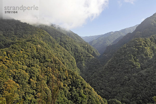 Blick von der Levada auf die bewaldeten Berge und die Schlucht des Flußes Ribeira da Janela  Levada da Central da Ribeira da Janela  Madeira  Portugal