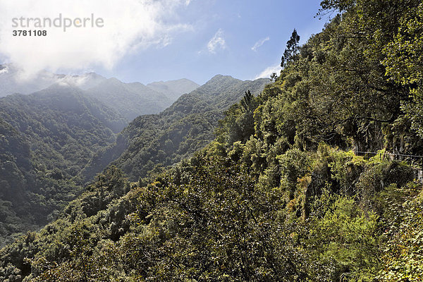 Levada do Rei (Ribeiro Bonito)  Sao Jorge  Madeira  Portugal