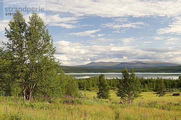 Blick zum See Laitijaure  Aktse  Sarek Nationalpark  Lappland  Schweden