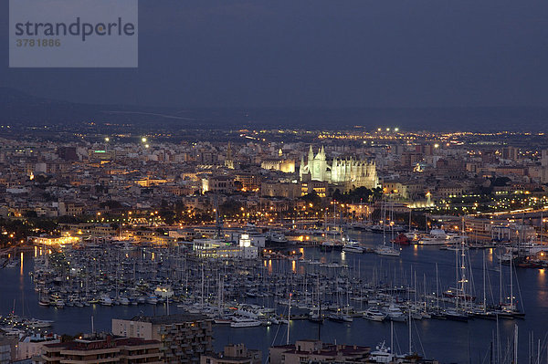 View on harbour  old town  cathedral at night  Palma de Majorca  Spain