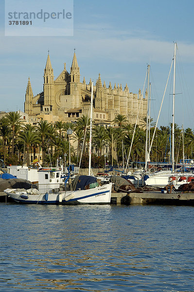 Hafen mit Fischerbooten  Kathedrale  Palma de Mallorca  Spanien