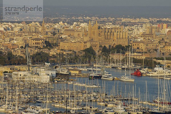 Blick auf den Hafen  Altstadt und Kathedrale  Palma de Mallorca  Spanien