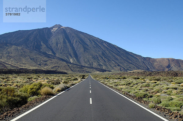 Strasse im Teide Nationalpark  Teneriffa  Kanarische Inseln  Spanien