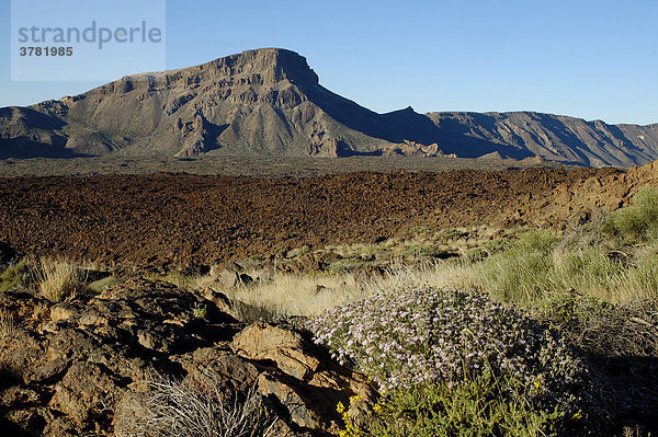 Teide Nationalpark  Teneriffa  Kanarische Inseln  Spanien