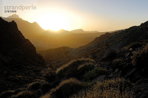 Teide Nationalpark bei Sonnenuntergang   Teneriffa  Kanarische Inseln  Spanien