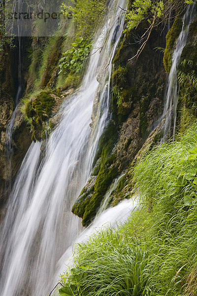 Wasserfall  Nationalpark Plitvicer Seen  Lika-Senj  Kroatien