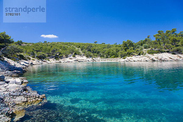 Lonely Bay  U. Maslinica  Island Hvar  Dalmatia  Croatia