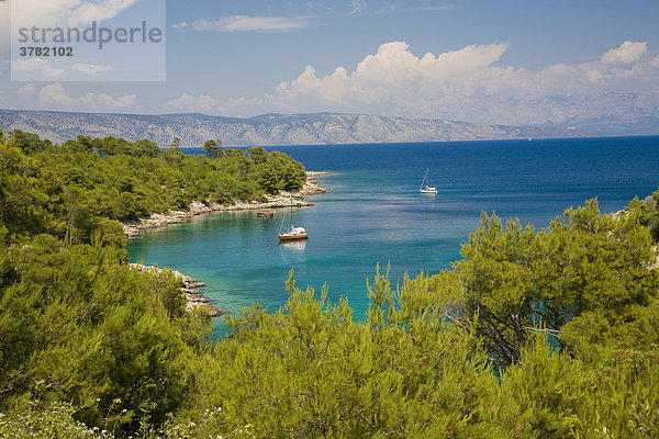Lonely Bay  U. Maslinica  Island Hvar  Dalmatia  Croatia