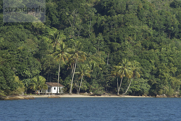 Strand mit Palmen und Haus  Paraty  Brasilien