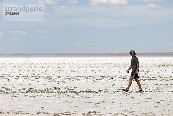 Mann auf dem Salzsee Lake Eyre  Südaustralien  Australien