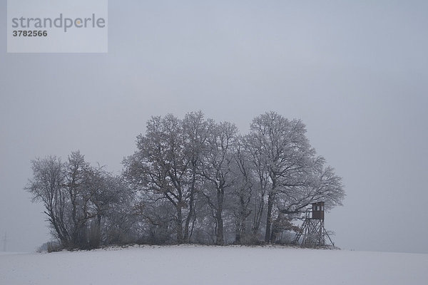 Hochsitz im Winter mit Bäumen