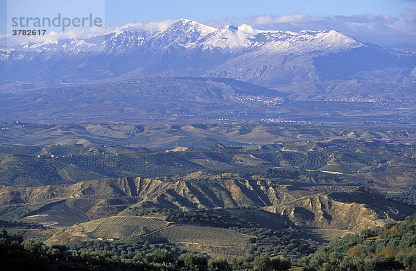 Blick in die Ebene von Sibari und zum schneebedeckten Pollino Gebirge  Sila Greca  Kalabrien  Italien