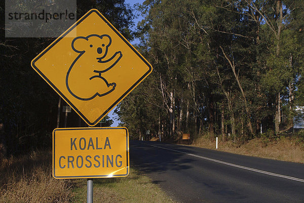 Koala-Warnschild  New South Wales  Australien