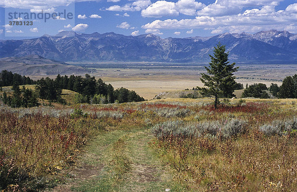 Feldweg vor der Grand Teton Range  Wyoming  Vereinigte Staaten von Amerika  USA
