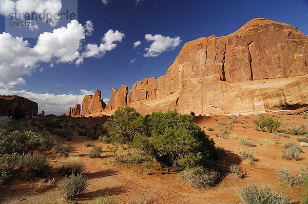 Sandsteinfelsen  Arches Nationalpark  Utah  USA  Vereinigte Staaten von Amerika