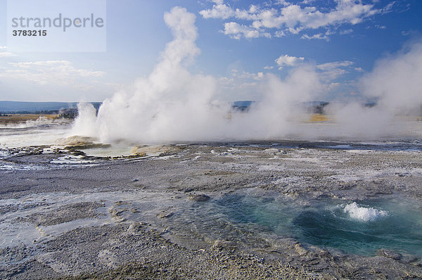 Geysir  Yellowstone Nationalpark  Wyoming  USA