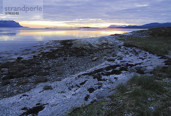 Fjordufer  Austvagoy  Lofoten  Norwegen  Skandinavien  Europa