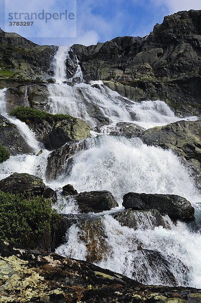 Wasserfall  Jotunheimen Nationalpark  Norwegen  Skandinavien