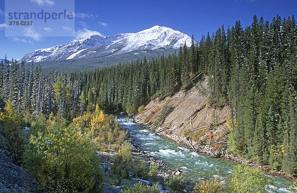 Tal im Herbst im Jasper Nationalpark  Rocky Mountains  Alberta  Kanada