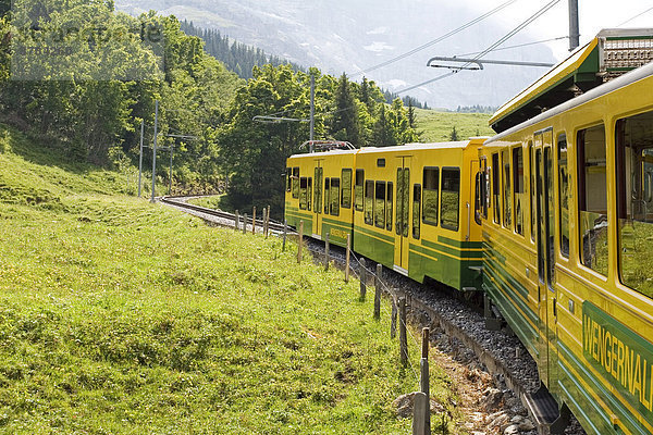 Jungfraubahn  Berner Oberland  Alpen  Schweiz