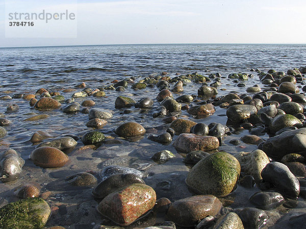 Steine am Strand Rügen  Mecklenburg-Vorpommern  Deutschland