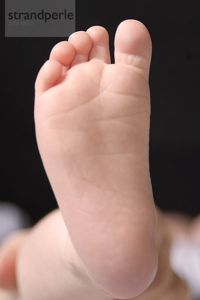 Fuß eines Babys (2 Monate)