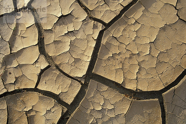 Risse im ausgetrockneten Boden eines Bachbetts Joshua Tree Nationalpark Kalifornien USA