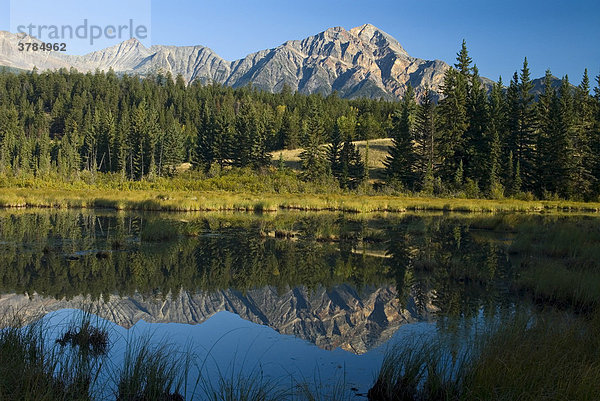 Spiegelung des Pyramid Mountain in einem Teich der Cottonwood Slough  Jasper Nationalpark  Alberta  Kanada