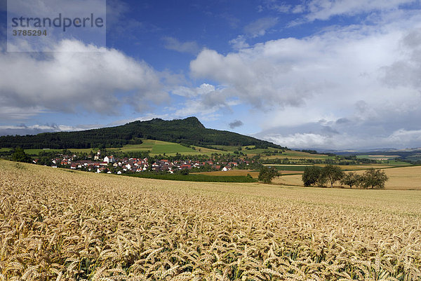 Weizenfeld  Hegauvulkan Hohenstoffeln  Weiterdingen  Baden-Württemberg  Deutschland  Europa.