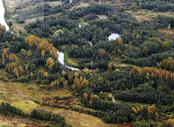 Luftaufnahme. Fluss Sestra  Moskauer Gebiet(Nord).. Russland