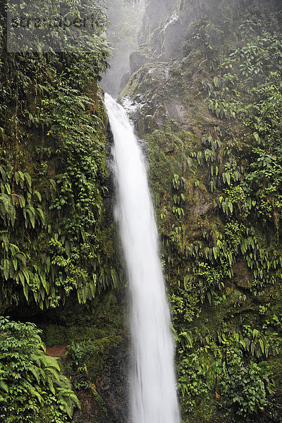 Wasserfall Catarata La Paz  Alajuela  Costa Rica