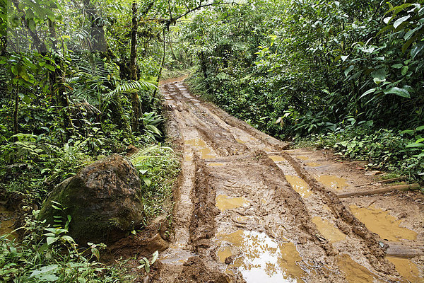 Urwaldpiste von Las Horquetas nach Rara Avis  Costa Rica