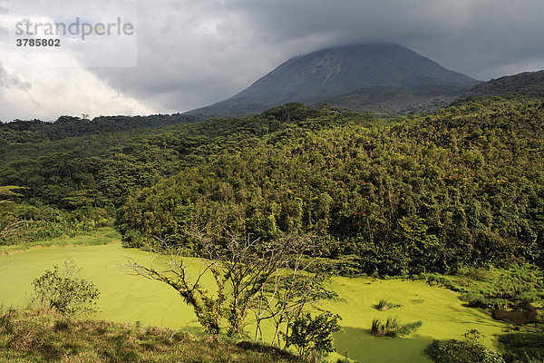 Grüne Lagune in Privatreservat El Silencio  Vulkan Arenal  Costa Rica