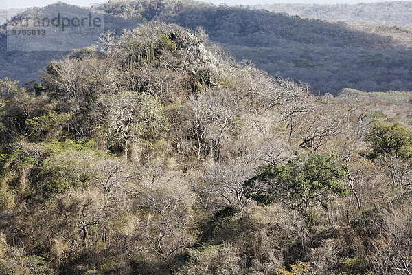 Trockenwald in Nationalpark Palo Verde  Blick von Mirador del Roque  Guanacaste  Costa Rica