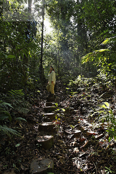 Frau auf Urwaldpfad  Nationalpark Maquenque  Costa Rica