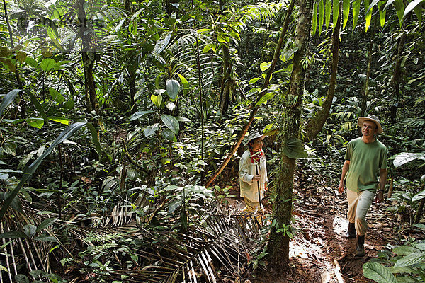 Touristen wandern im Regenwald  Nationalpark Maquenque  Costa Rica