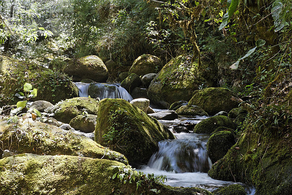 Rio Savegre  Nationalpark Los Quetzales  Costa Rica