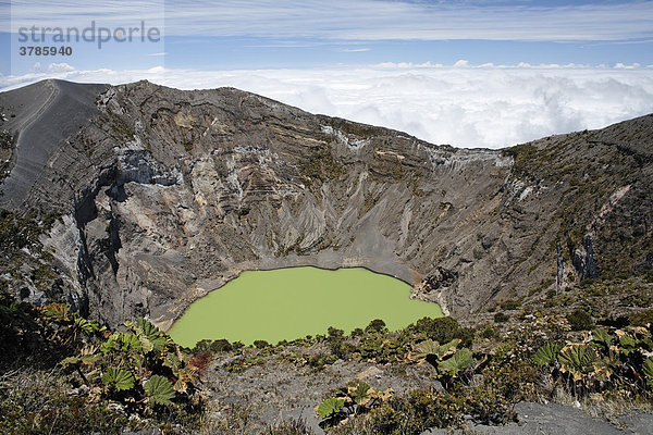 Nationalpark Vulkan Irazu  Hauptkrater mit Kratersee  Costa Rica