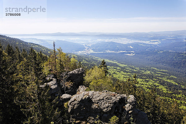Blick vom Kleinen Falkenstein  Nationalpark Bayerischer Wald  Niederbayern
