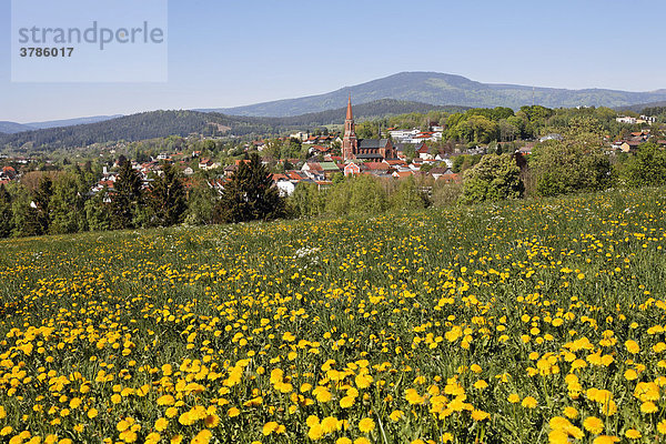 Zwiesel  Bayerischer Wald  Niederbayern  Deutschland