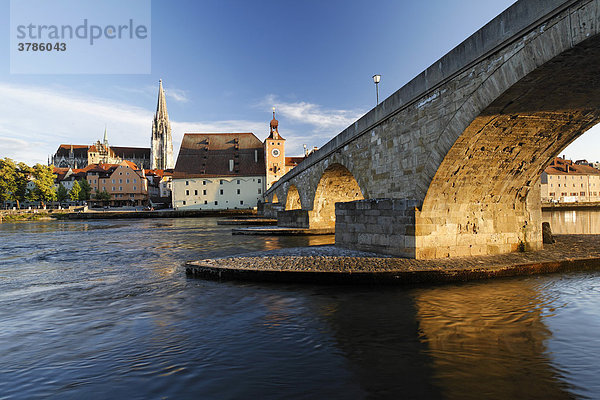 Regensburg  Dom  Donau  Salzstadel und Steinerne Brücke  Oberpfalz  Bayern