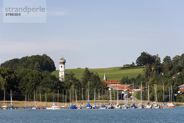 Gmund am Tegernsee  Oberbayern  Deutschland