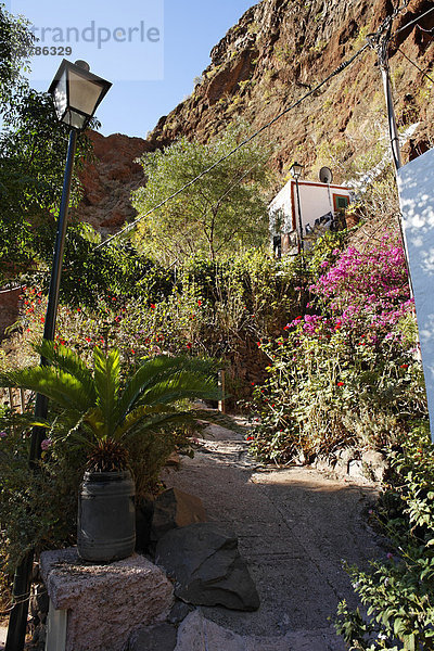 Cave houses  Cuevas Bermejas in Barranco de Guayadeque  Gran Canaria  Spain