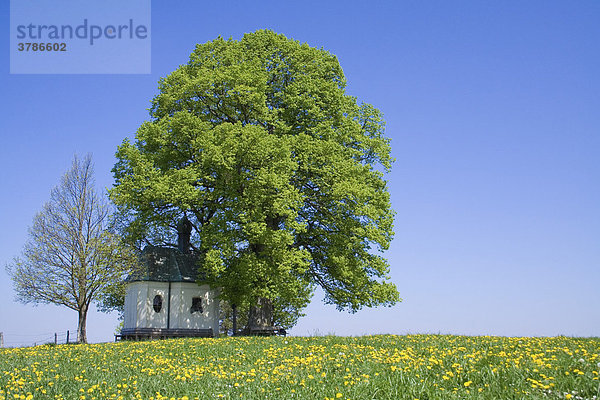 Maria-Dank-Kapelle  Degerndorf  Oberbayern  Bayern  Deutschland