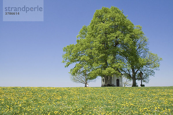 Maria-Dank-Kapelle  Degerndorf  Oberbayern  Bayern  Deutschland