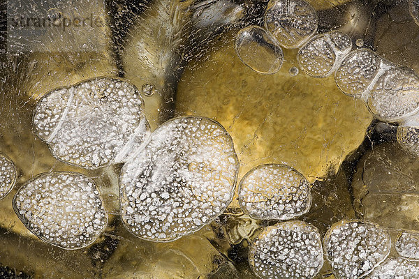 Im Eis eingefrorene Luftblasen mit Kieselsteinen